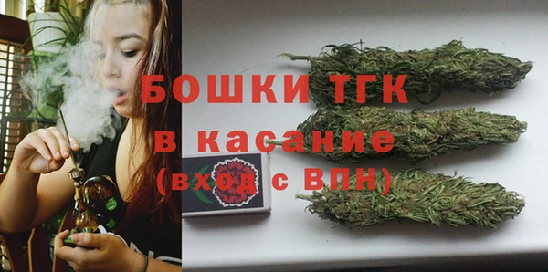 мдпв Дмитровск
