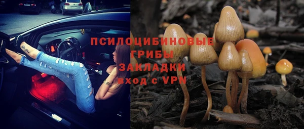 мдпв Дмитровск